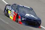 Alex Bowman (Hendrick) 