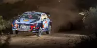 Thierry Neuville, Nicolas Gilsoul