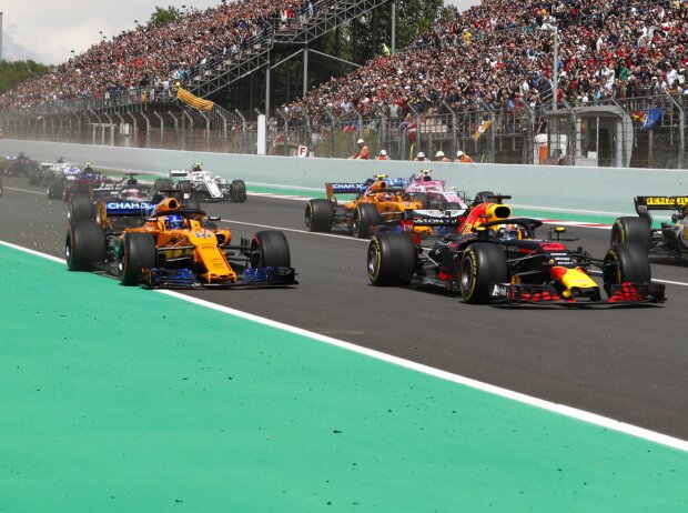 Titel-Bild zur News: Daniel Ricciardo, Fernando Alonso, Carlos Sainz