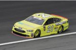 Paul Menard (Wood) 