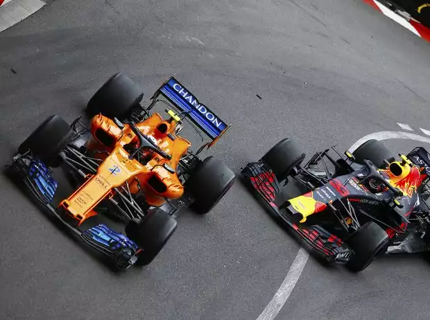 Stoffel Vandoorne, Max Verstappen Titel-Bild zur News: Stoffel Vandoorne, Max Verstappen
