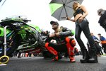Tom Sykes 