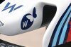 Was hinter den Schmetterlingen auf dem Williams steckt