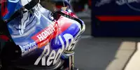 Toro Rosso