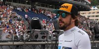 Bild zum Inhalt: "Liebend gern": Formel-E-Boss baggert an Fernando Alonso