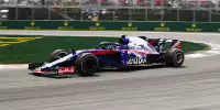 Bild zum Inhalt: Toro Rosso: Wieso ein Motoren-Hickhack Red Bull zugute kam