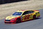 Joey Logano (Penske) 