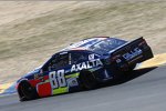 Alex Bowman (Hendrick) 