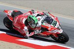 Eugene Laverty 