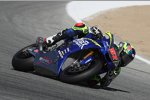 Josh Herrin 