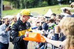 Nico Hülkenberg (Renault) 