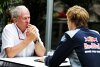 Bild zum Inhalt: Toro Rosso: Gasly bleibt auch 2019, Hartley bis Saisonende