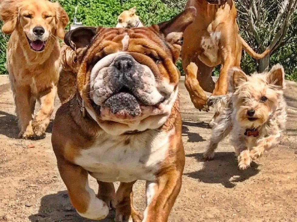 Roscoe