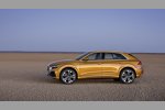 Audi Q8 2018