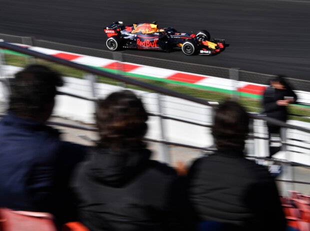 Max Verstappen Max Verstappen