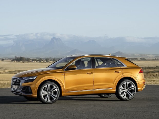 Titel-Bild zur News: Audi Q8 2018