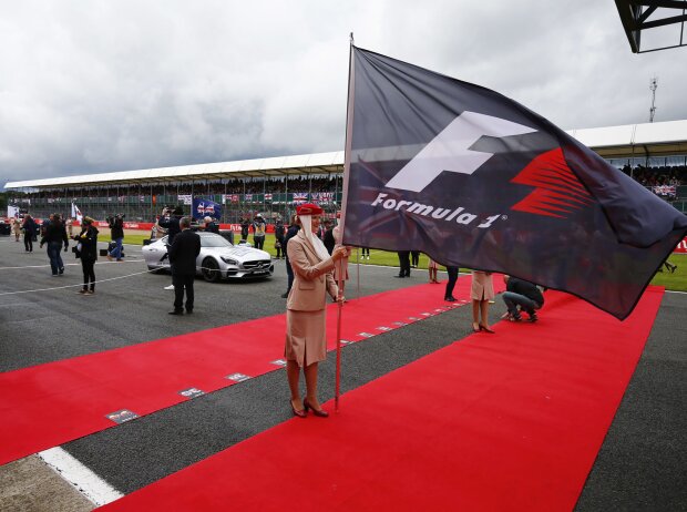 Titel-Bild zur News: Formel-1-Fahne