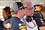 Max Verstappen (Red Bull) und Helmut Marko 