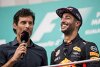 Bild zum Inhalt: Mark Webber: Daniel Ricciardo wird bei Red Bull bleiben