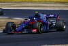 Horner: Toro Rosso soll nicht Versuchskaninchen spielen