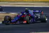 Bild zum Inhalt: Horner: Toro Rosso soll nicht Versuchskaninchen spielen