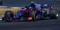 Bild zum Inhalt: Horner: Toro Rosso soll nicht Versuchskaninchen spielen