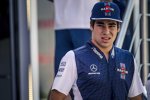 Lance Stroll (Williams) 