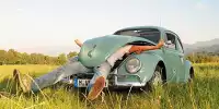 Bild zum Inhalt: Wanted: Das schönste Käfer-Bild