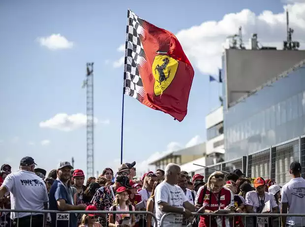 Fans Titel-Bild zur News: Fans