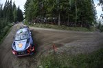 Hayden Paddon 