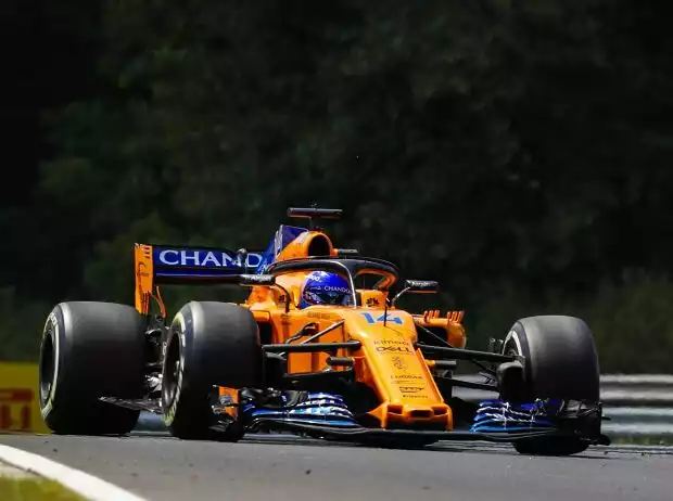 Titel-Bild zur News: Fernando Alonso