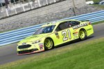 Paul Menard (Wood) 