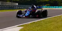 Bild zum Inhalt: Toro Rosso: Pierre Gasly ist ein "reiferer" Fahrer geworden