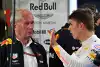 Bild zum Inhalt: Marko erzürnt: Verstappen hat kein Veto gegen Teamkollegen