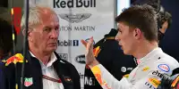 Bild zum Inhalt: Marko erzürnt: Verstappen hat kein Veto gegen Teamkollegen