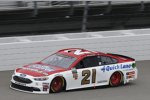 Paul Menard (Wood) 