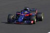 Red Bull und Toro Rosso: Außer Catering nichts gemein?
