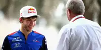 Bild zum Inhalt: Red Bull: Gasly muss bis Mitte 2019 auf Ricciardo-Niveau sein