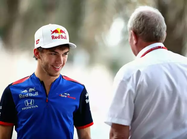 Titel-Bild zur News: Pierre Gasly, Helmut Marko
