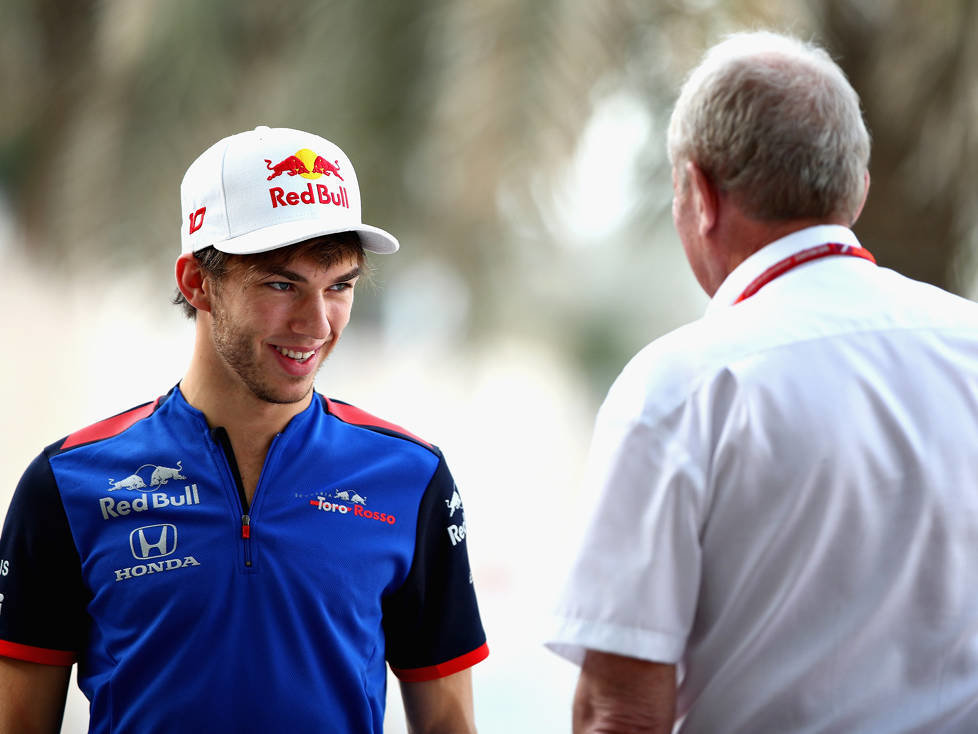 Pierre Gasly, Helmut Marko