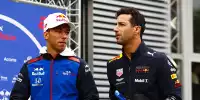 Bild zum Inhalt: Helmut Marko: Pierre Gasly schon für 2018 war kein Thema