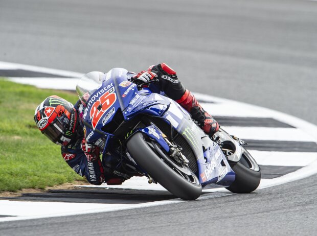 Maverick Vinales Maverick Vinales