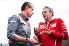 Bild zum Inhalt: Charles Leclerc und Haas: Keine Anfrage von Ferrari
