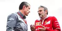 Bild zum Inhalt: Charles Leclerc und Haas: Keine Anfrage von Ferrari