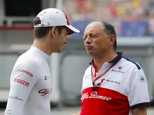 Charles Leclerc und Frederic Vasseur Titel-Bild zur News: Charles Leclerc und Frederic Vasseur
