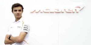 McLaren: Norris wäre sonst bei Toro Rosso gelandet