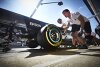 Bluttests & Ernährungspläne: Wie ein Formel-1-Team fit bleibt