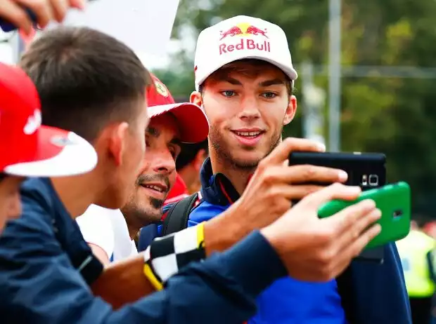 Titel-Bild zur News: Pierre Gasly