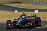 Zach Veach (Andretti) 