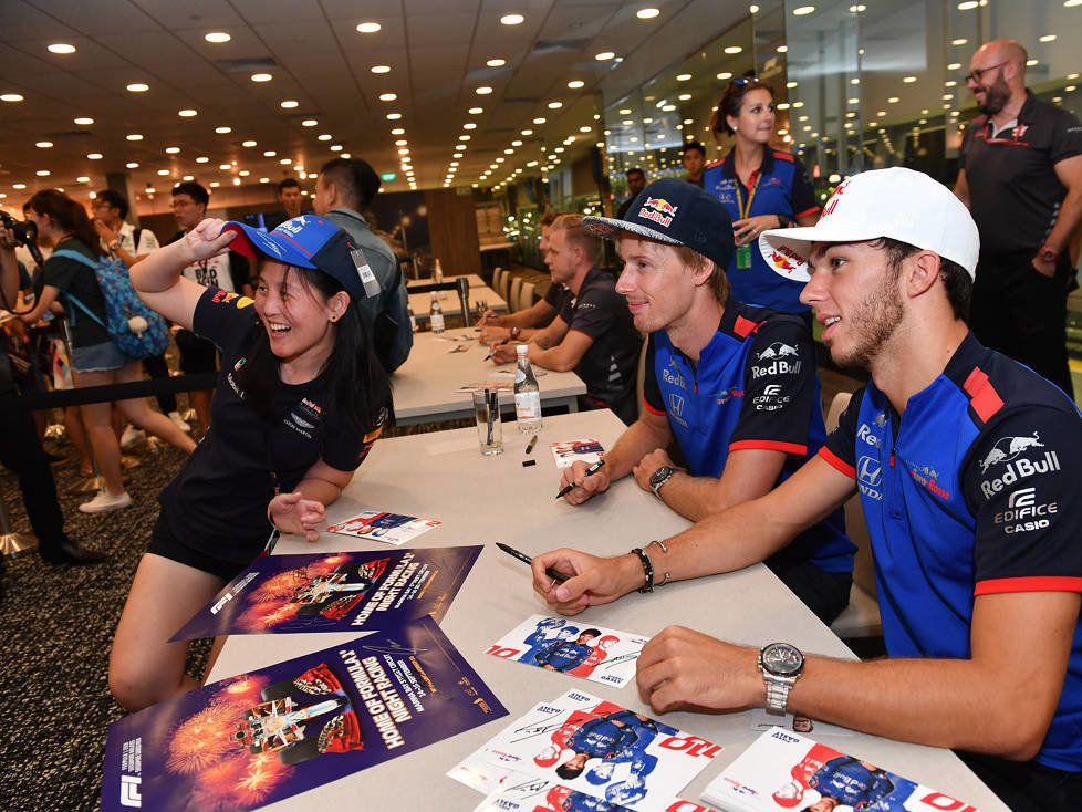 Brendon Hartley, Pierre Gasly